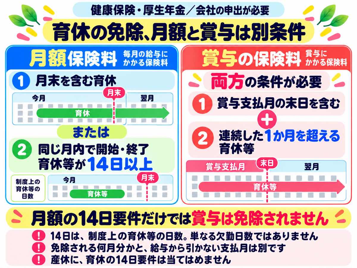 育休の月額保険料は月末を含む場合か、同じ月の中の育休等が14日以上の場合に免除。賞与は支払月の末日を含み、連続した1か月を超える育休等であることの両方が必要。会社の申出が必要