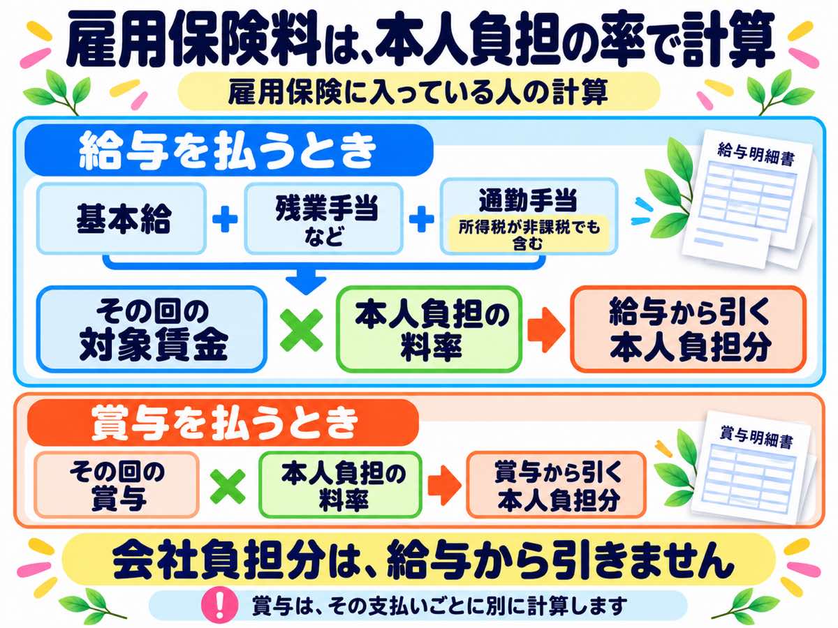 雇用保険に入っている人の給与は、基本給・残業手当・所得税が非課税の通勤手当などを合わせた対象賃金に本人負担の料率をかけ、賞与はその支払いごとに別に計算する流れ。会社負担分は給与から引かない
